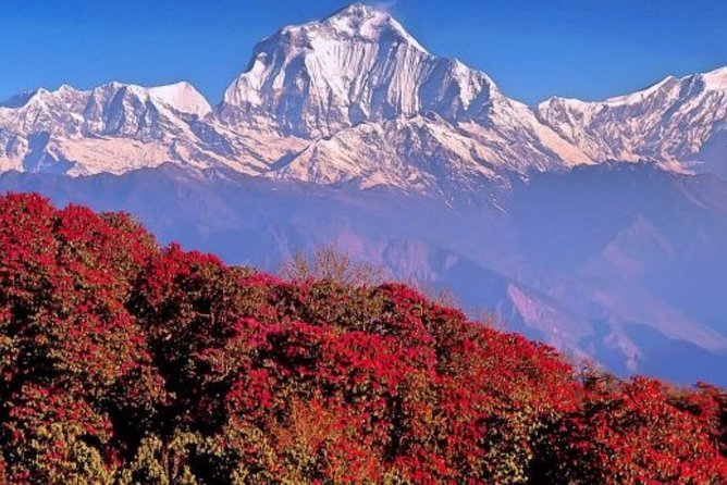 The Best of Nepal : 5-Day Trek to Ghorepani Poon Hill & Ghandruk - Poon Hill Sunrise at 3,210m: The View That Makes It Worth the Early Alarm