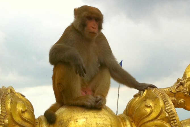 TOP 4 UNESCO World Heritage Sites Tour - Stop 2: Boudhanath Stupa, Big Buddhist Devotion in One Hour
