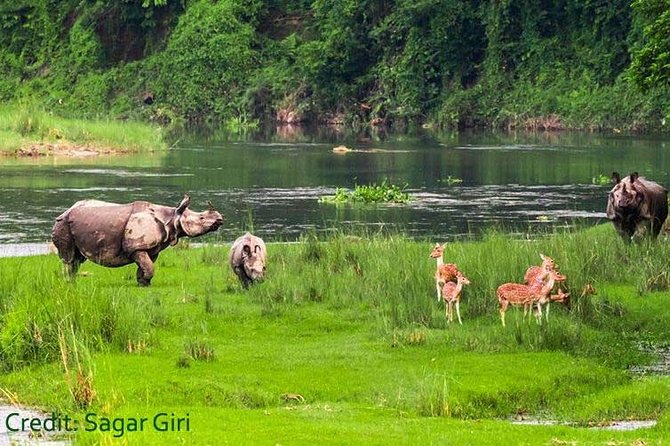 Transport Cover Nepal - Price and value: what $512.31 per person covers, and what it doesn’t