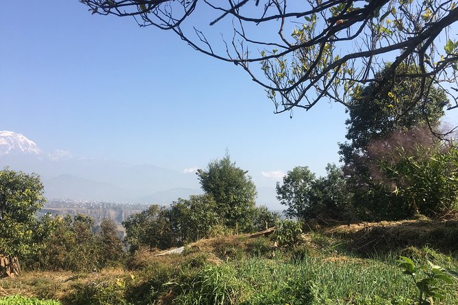Unique Easy Hiking to Foxing Hill from Pokhara - The Rural Lunch Stop: Why It Adds Real Value