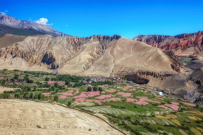 Upper Mustang Trekking - Key Highlights You’ll Care About